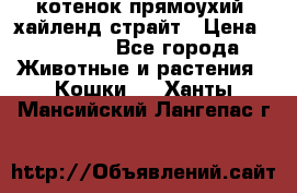 котенок прямоухий  хайленд страйт › Цена ­ 10 000 - Все города Животные и растения » Кошки   . Ханты-Мансийский,Лангепас г.